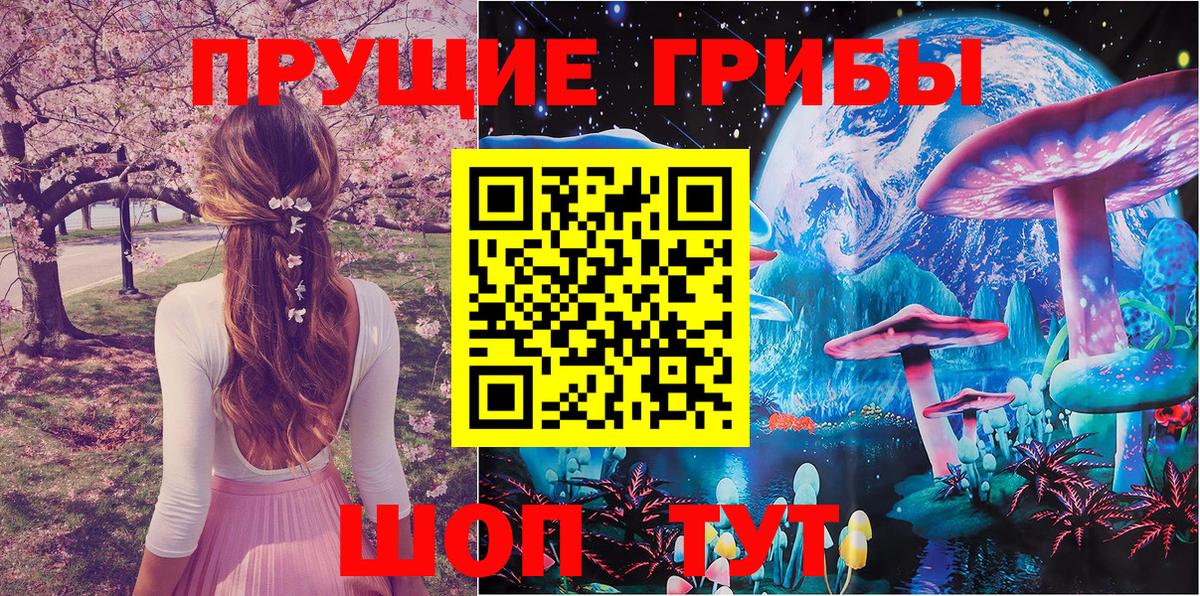 Псилоцибиновые грибы Cubensis  Вход с VPN  Псилоцибиновые грибы GOLDEN TEACHER  как найти закладки  Апатиты 